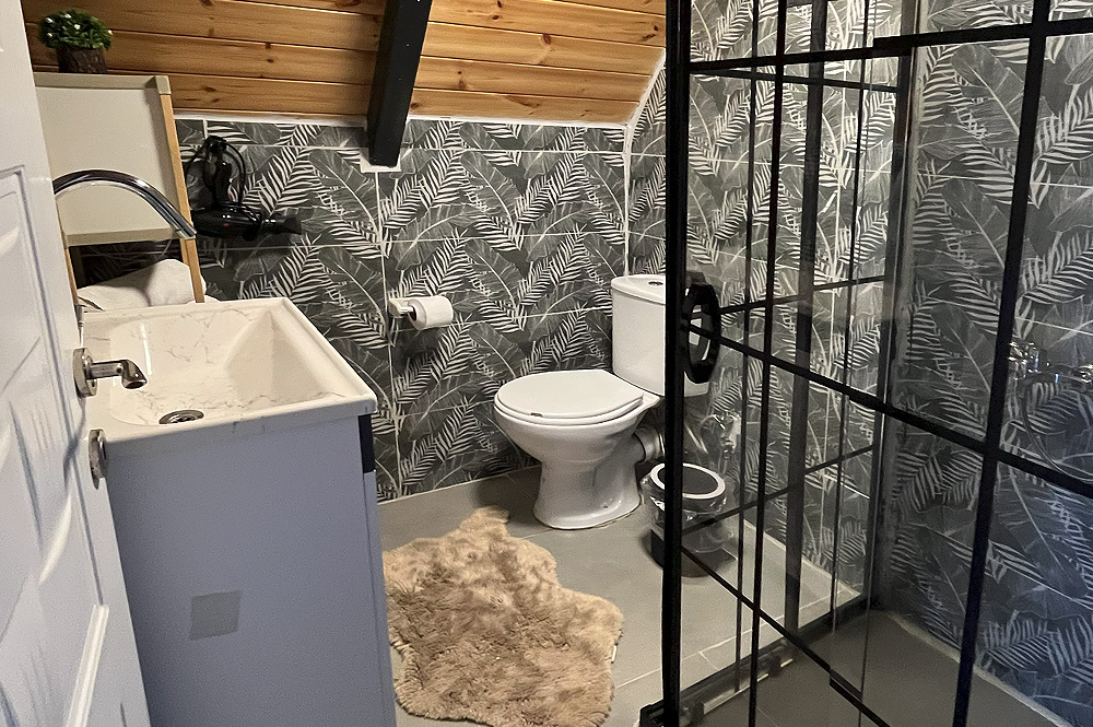 Duşakabinli banyo